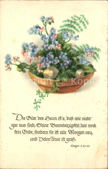 Blumen Vergissmeinnicht Religion Klagel