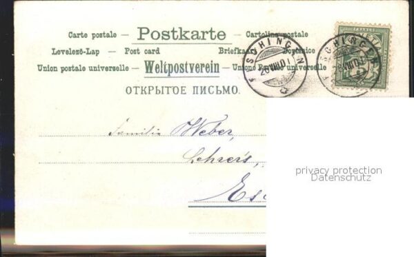 Blumengruesse Vergissmeinnicht Hand Schleife Litho – Bild 2