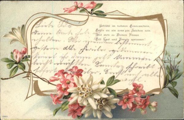 Edelweiss Alpenrosen Gedicht Litho
