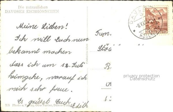 Eichhoernchen Davos – Bild 2