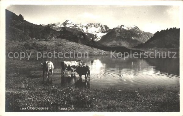 Kuehe Oberblegisee Hausstock