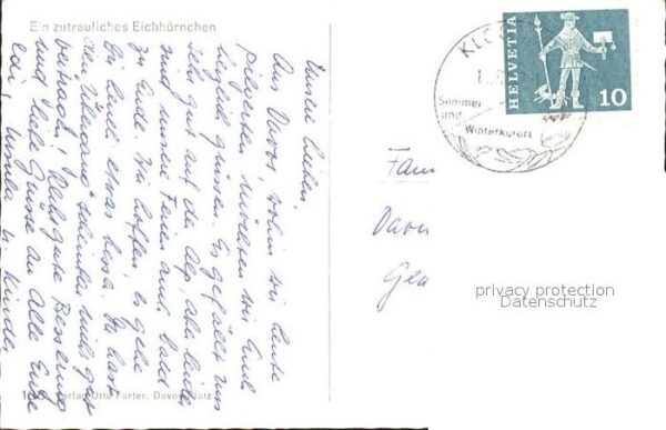 Eichhoernchen – Bild 2