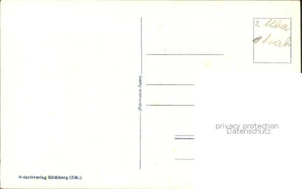 Murmeltier – Bild 2