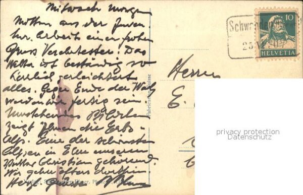 Kuehe Erbsalp Hausstock – Bild 2