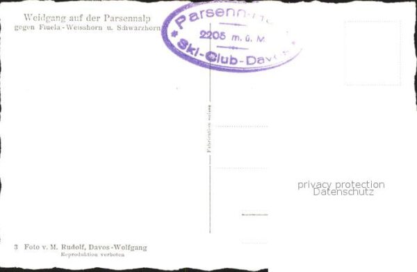 Kuehe Weidgang Parsennalp Flüela-Weisshorn Sc – Bild 2
