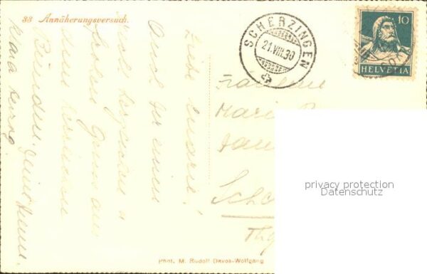 Kuehe Kind Alm – Bild 2