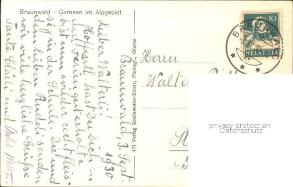 Gemse Alpgebiet Braunwald – Bild 2
