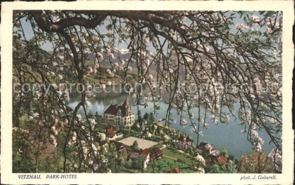 Foto Gaberell J. Nr. 6503 Vitznau Park-Hotel