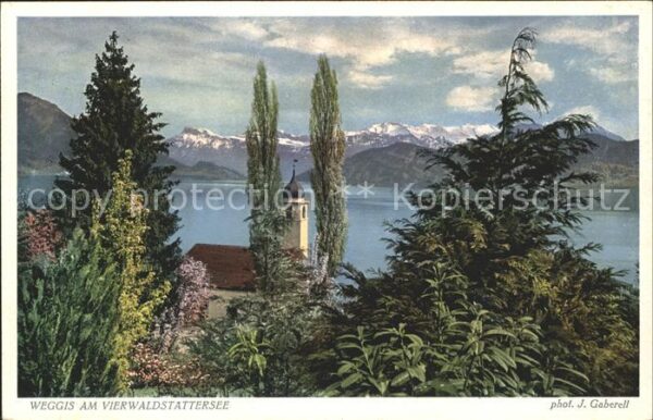 Foto Gaberell J. Nr. 5485 Weggis Vierwaldstättersee
