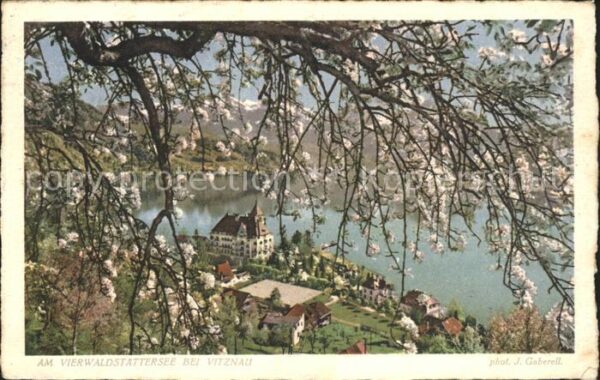 Foto Gaberell J. Nr. 6503 Vierwaldstättersee Vitznau Park-Ho