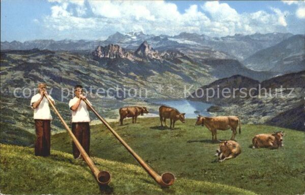 Alphorn Alphornbläser Rigi-Kulm Kühe
