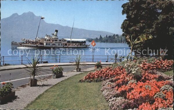 Dampfer Seitenrad Weggis Vierwaldstättersee Hotelpark See