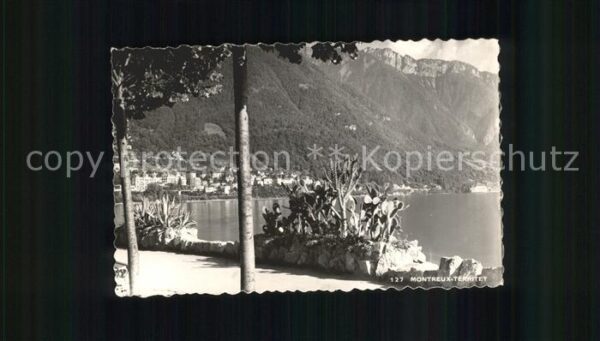 Kakteen Montreux-Territet