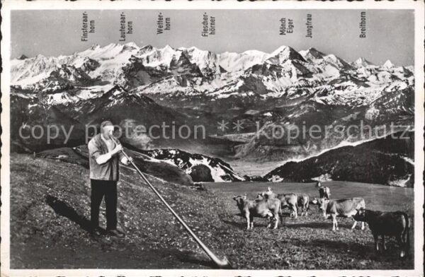 Alphorn Preialphornbläser Josef Kuster Kühe Pil
