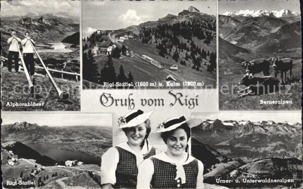 Alphorn Alphornbläser Berneralpen Kühe Rigi-Sta
