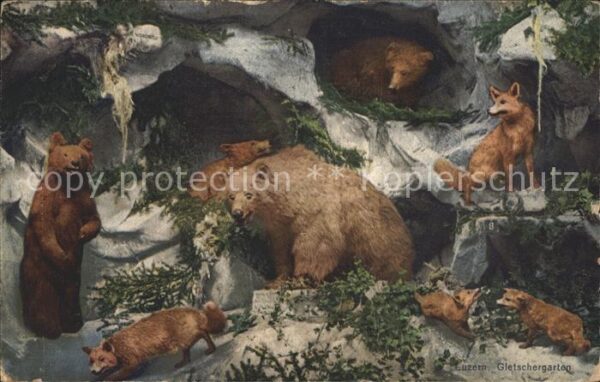 Baeren Füchse Luzern Gletschergarten Alpentier
