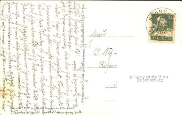 Kuehe Kuhstudie – Bild 2
