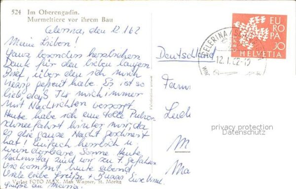 Murmeltier Oberengadin – Bild 2
