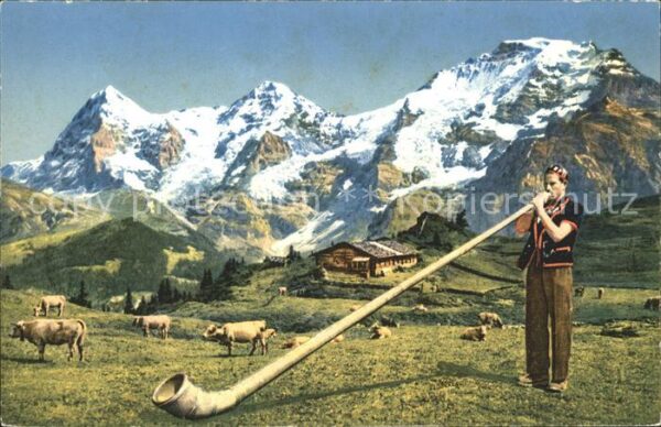 Alphorn Alphornbläser Berge Kühe