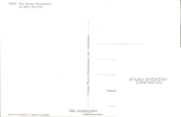 Ziege Kleiner Ziegenhirte – Bild 2