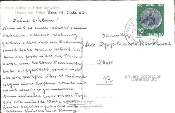 Kuehe Alpweide – Bild 2