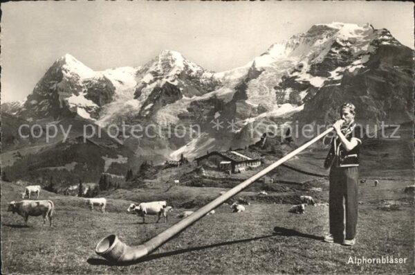 Alphorn Alphornbläser