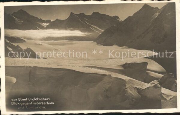 Gletscher Ebnefluh Finsteraarhorn Concordia