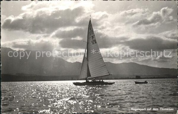 Segelboote Segelsport Thunersee