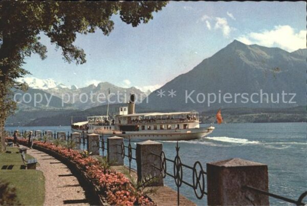 Dampfer Seitenrad Schlosspark Oberhofen Thunersee Blümlis