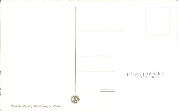 Kuehe Eiger Mönch – Bild 2