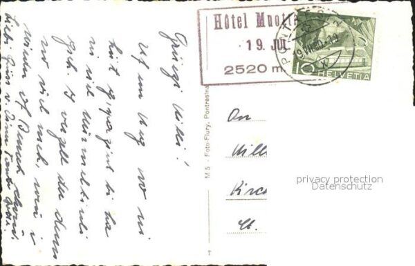 Murmeltier – Bild 2