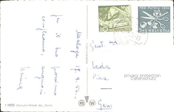 Murmeltier – Bild 2