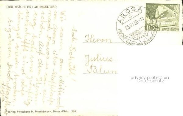 Murmeltier Arosa – Bild 2