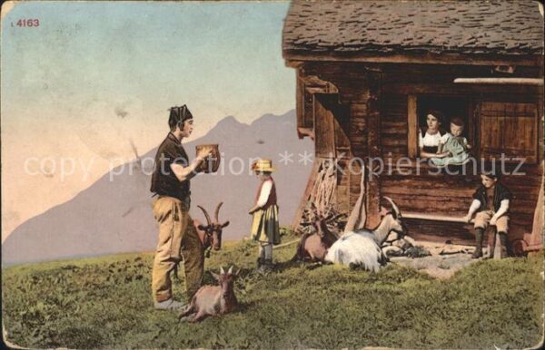 Ziege Alm Senn