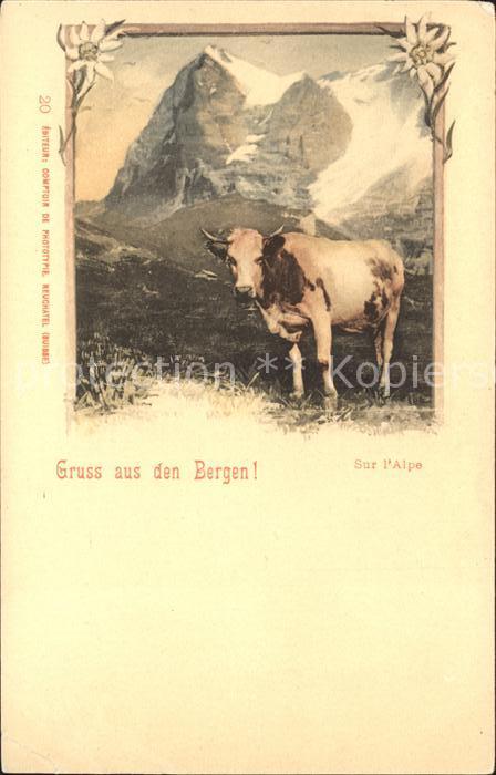 Kuehe Edelweiss Berge Alpen