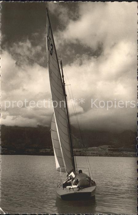 Segeln Segelboot Segelsport Thunersee