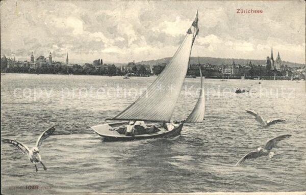 Segelboote Möwen Zürichsee