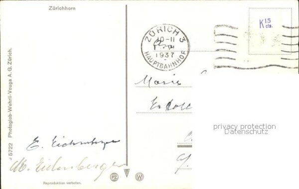 Schwan Schwäne Zürichhorn – Bild 2