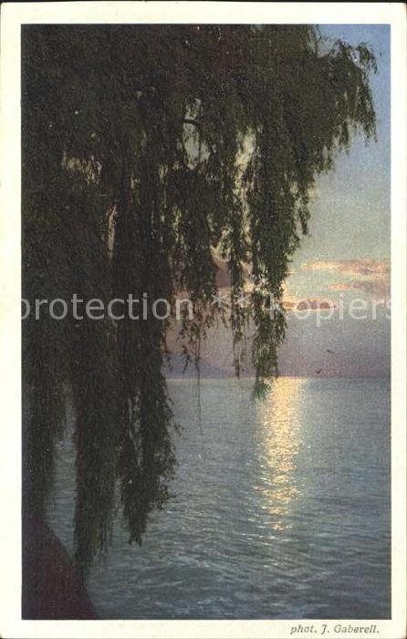 Foto Gaberell J. Nr. 9020 Sonnenuntergang See Baum