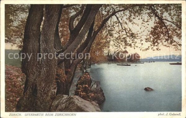 Foto Gaberell J. Nr. 7504 Zürich Uferpartie Zürichhorn