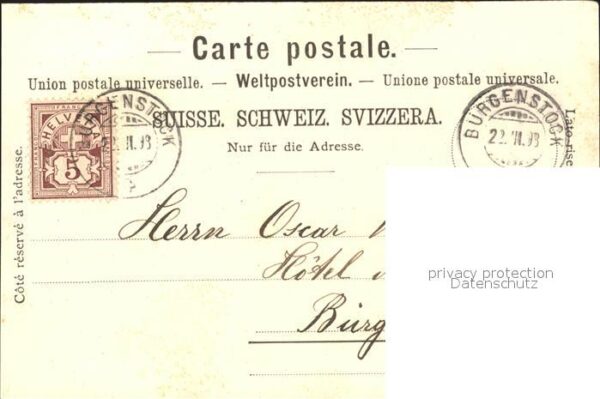 Baeren Bern Bärengraben – Bild 2