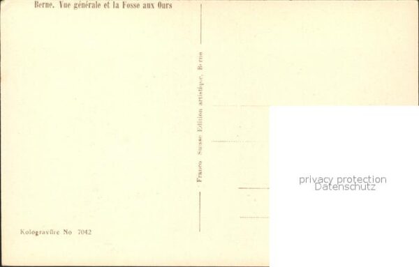 Baeren Bern Bärengraben – Bild 2