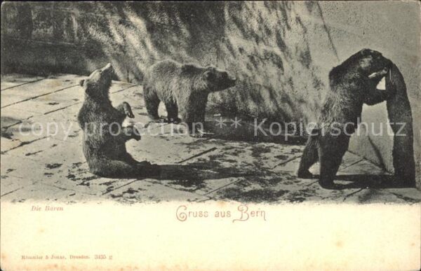 Baeren Bern Bärengraben