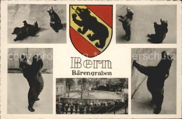 Baeren Bern Bärengraben