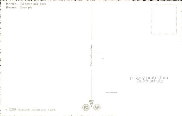 Baeren Bärengraben – Bild 2