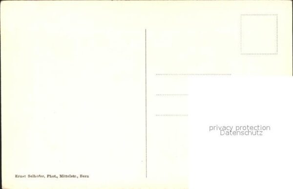 Baeren Bern Bärengraben – Bild 2