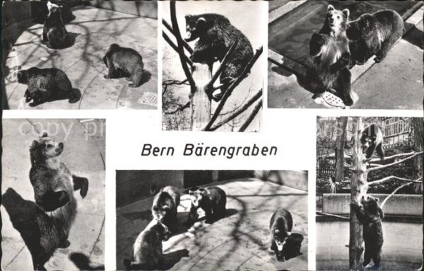 Baeren Bern Bärengraben