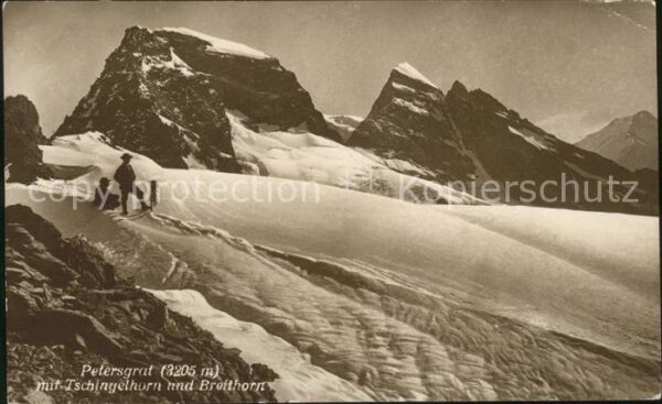 Bergsteigen Klettern Petersgrut Tschingelhorn Breithorn