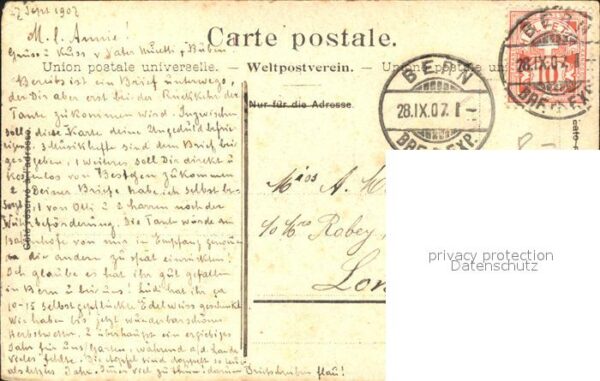 Kuehe Kuhherde Eiger – Bild 2