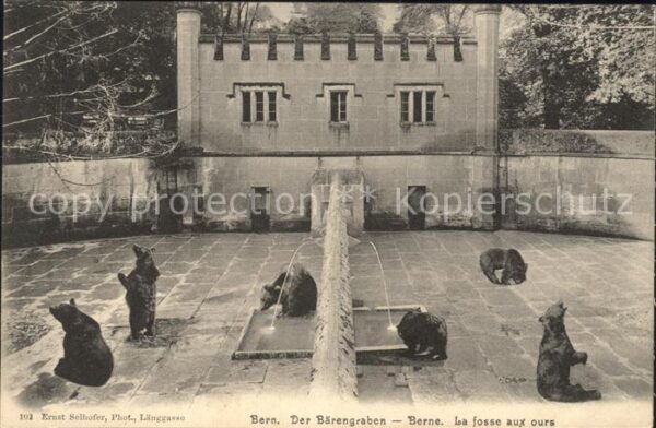 Baeren Bern Bärengraben